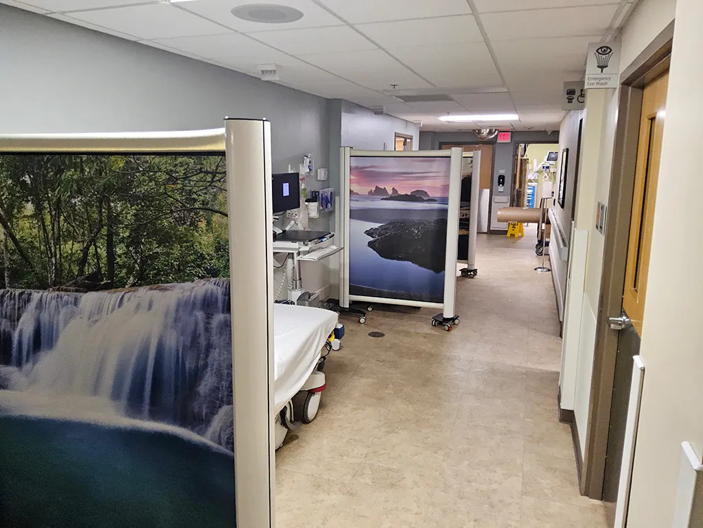 Rolascreen Gallery 2