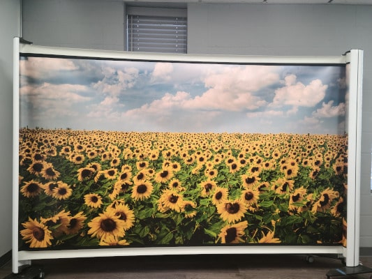 Rolscreen with Sunflowers image