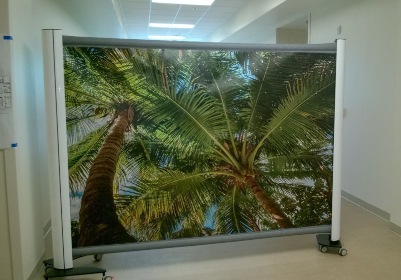 Rolascreen with Palmtrees background