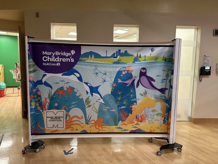 Pediatric Privacy: Why Kids Need More Than Just a Curtain