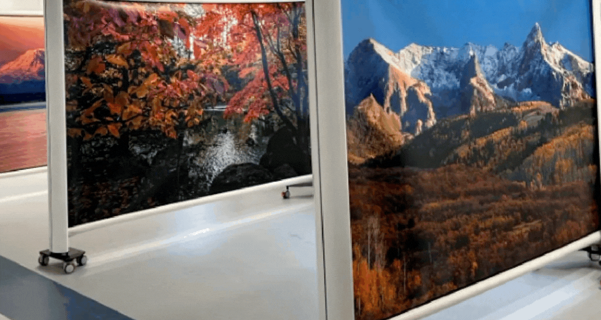 Privacy Screen on Wheels