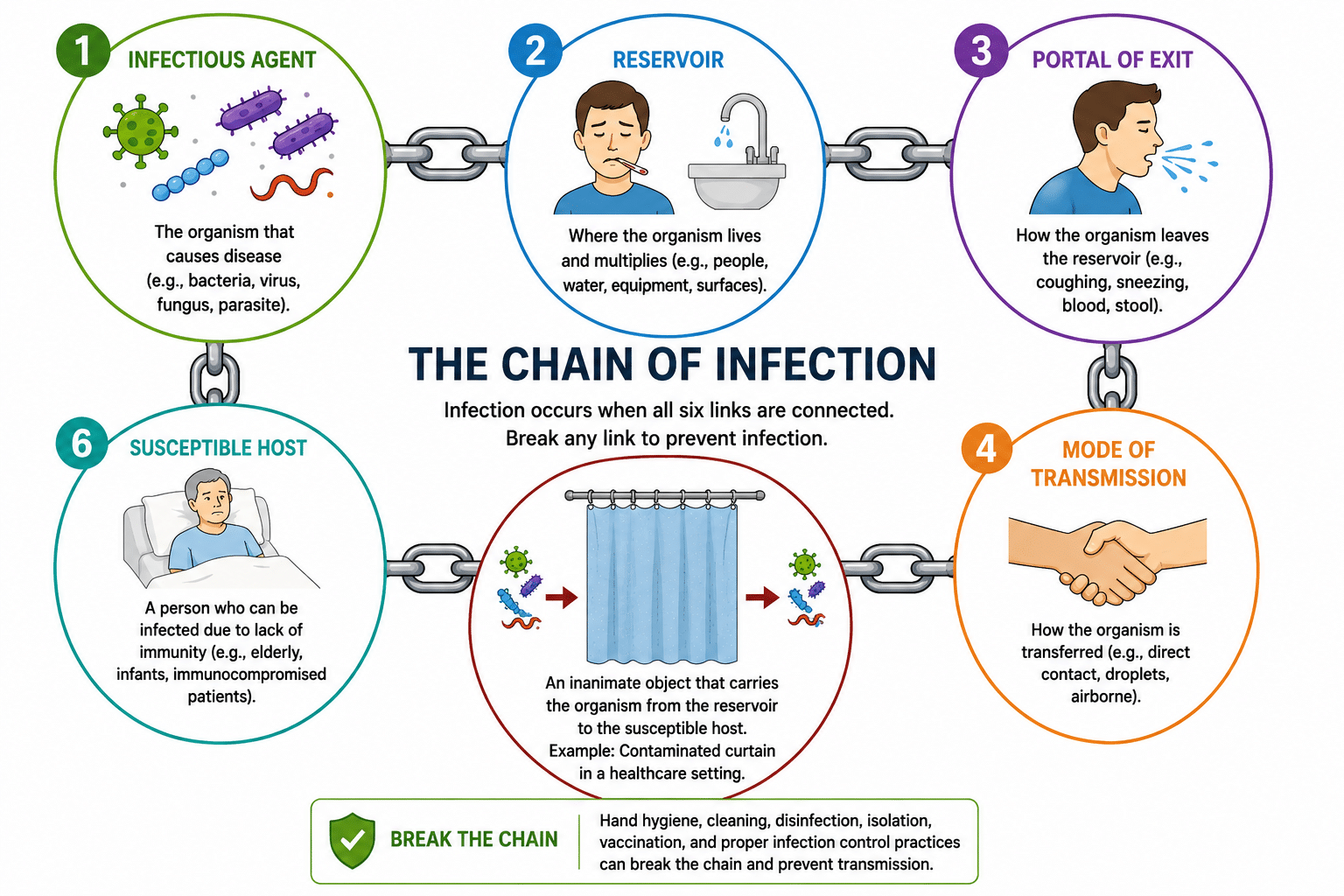 The Chain of Infection: how hospital curtains act as a vector connecting infectious agents to susceptible hosts